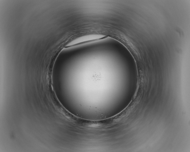 X0000110860313200906181147
