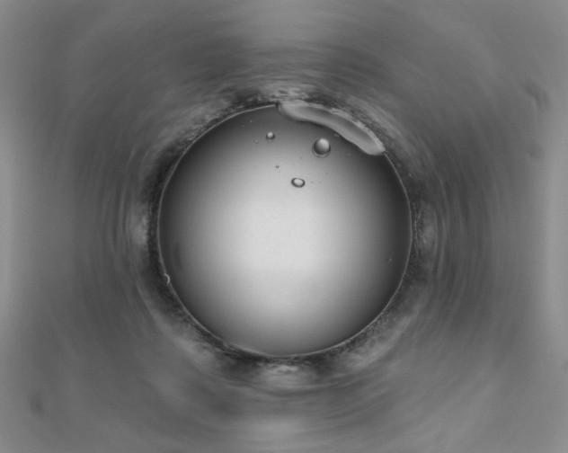 X0000110860315200906181147