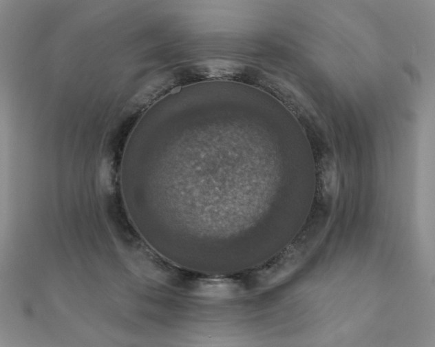 X0000110860316200906181147