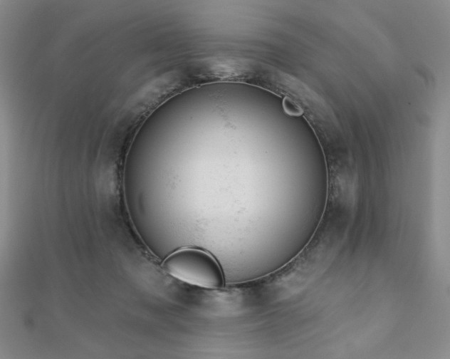 X0000110860317200906181147