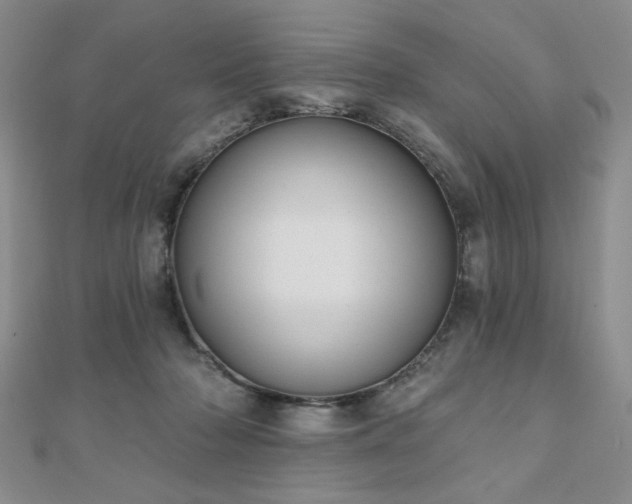 X0000110860318200906181147