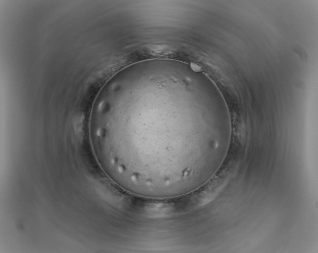 X0000110860319200906181147