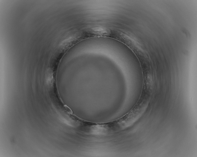 X0000110860320200906181147