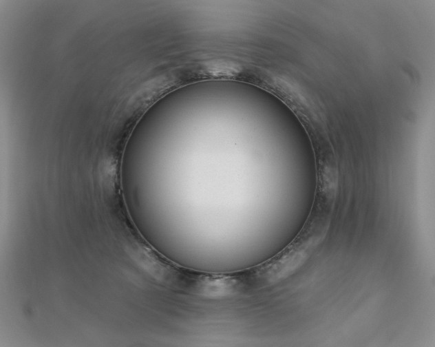 X0000110860321200906181147