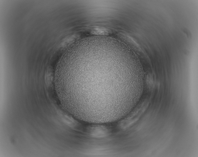 X0000110860322200906181147