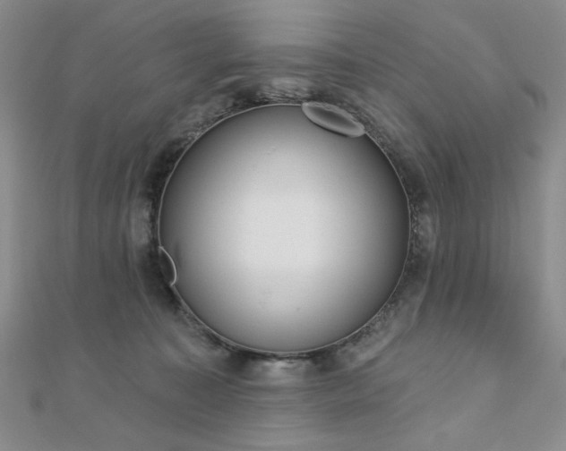 X0000110860323200906181147