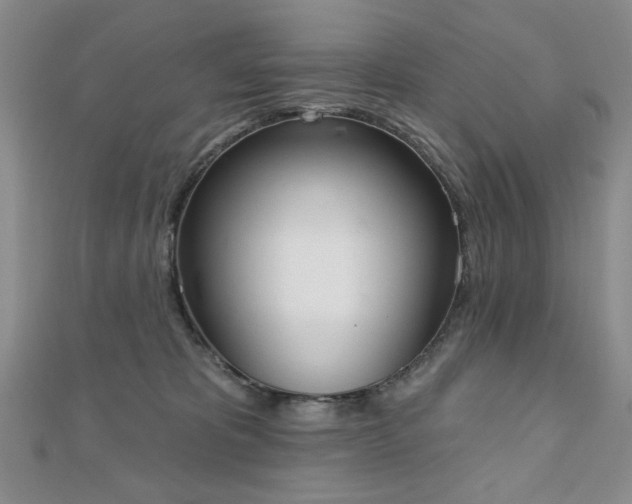 X0000110860325200906181146