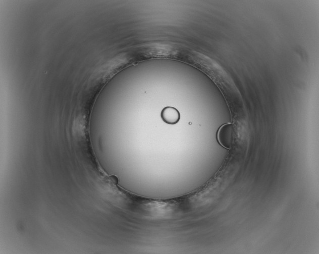 X0000110860326200906181146
