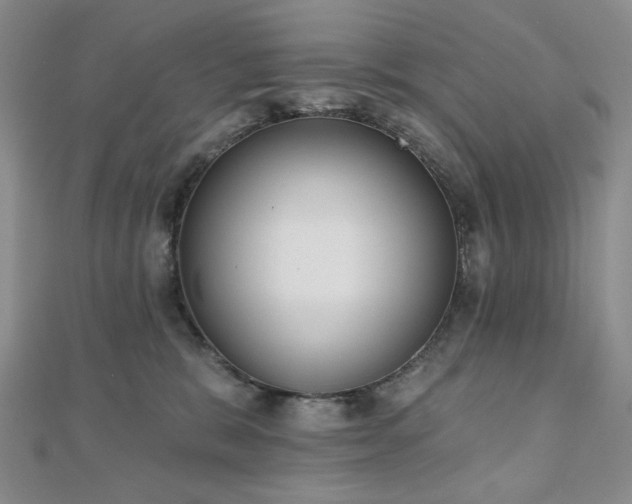 X0000110860327200906181146