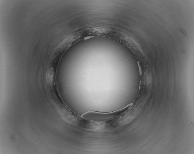X0000110860328200906181146