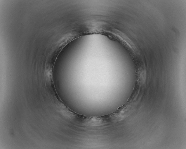 X0000110860329200906181146