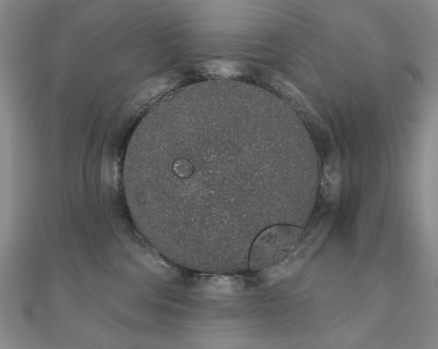 X0000110860330200906181146