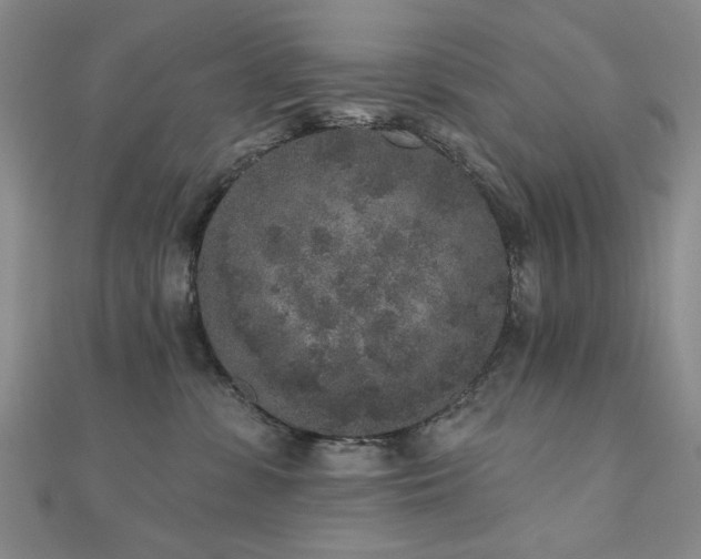 X0000110860331200906181146