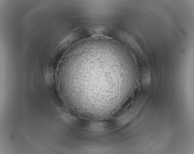 X0000110860332200906181146