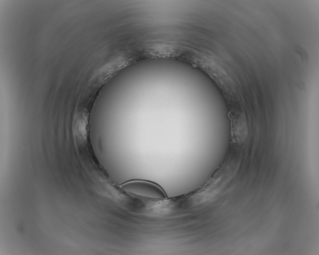 X0000110860334200906181146