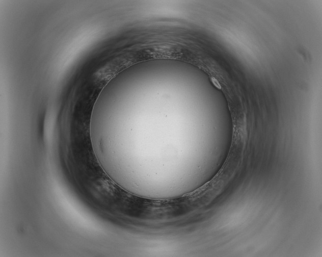 X0000110860335200906181146