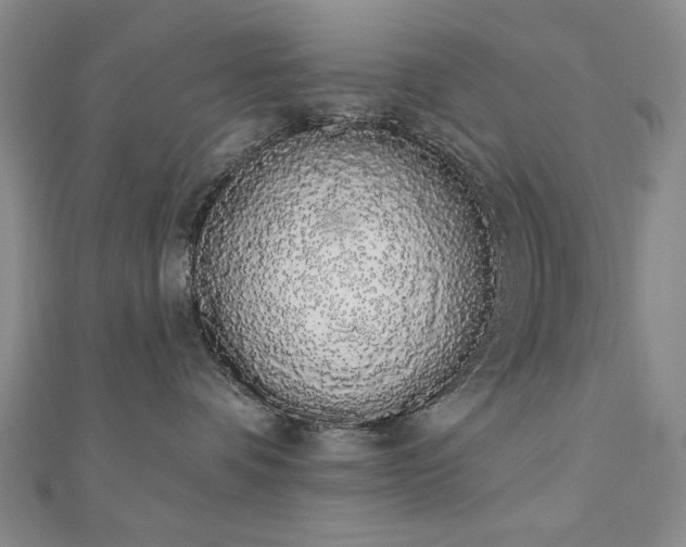 X0000110860336200906181146