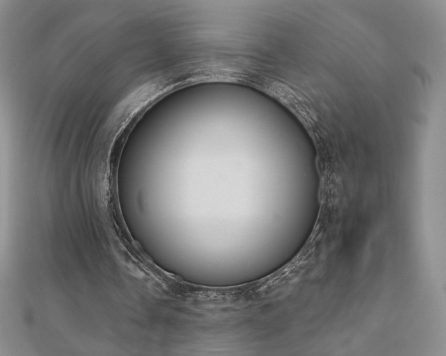 X0000110860338200906181145