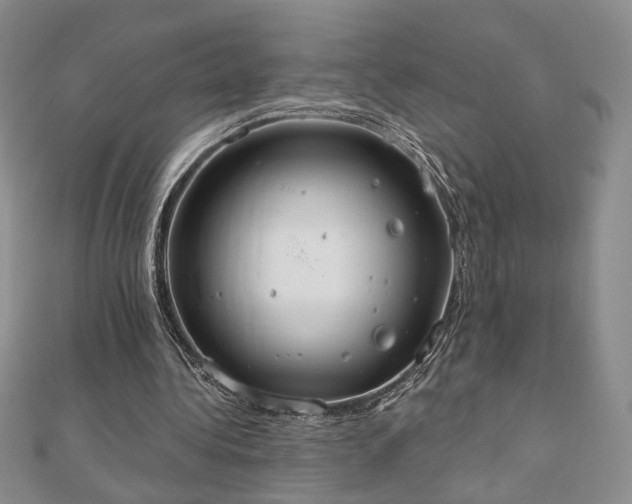 X0000110860340200906181145