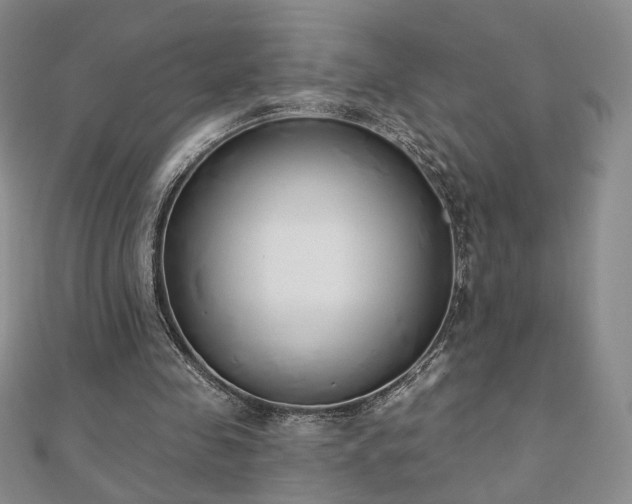 X0000110860341200906181145