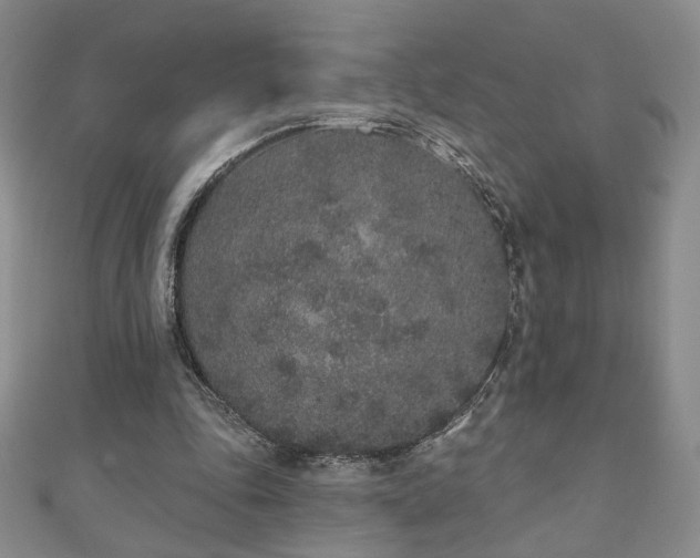 X0000110860343200906181146