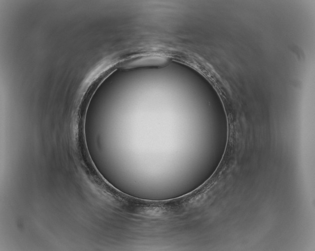 X0000110860344200906181146