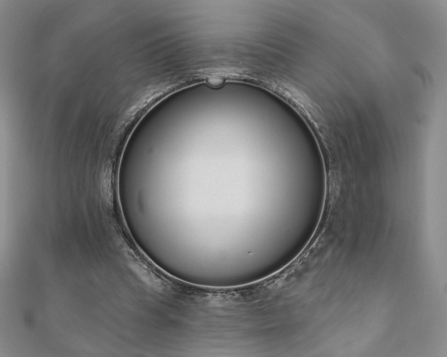 X0000110860345200906181146