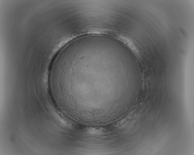 X0000110860346200906181146