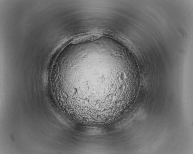 X0000110860347200906181146