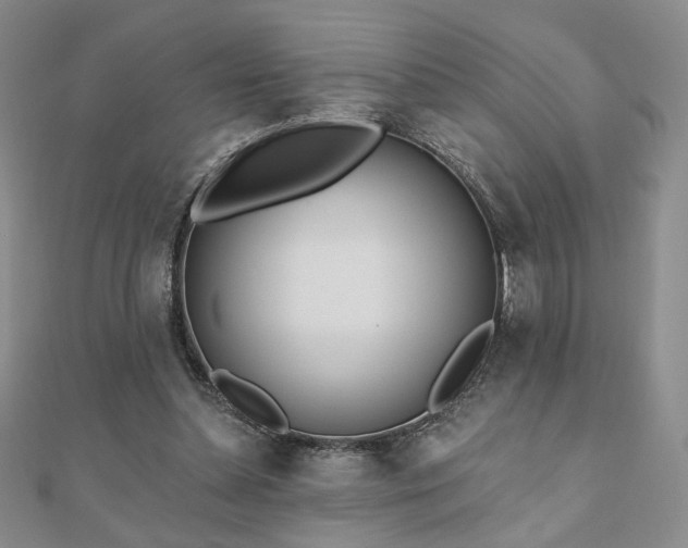 X0000110860348200906181146