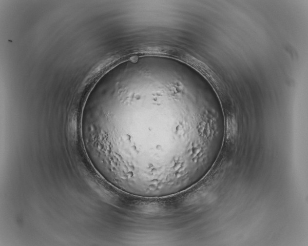 X0000110860349200906181146