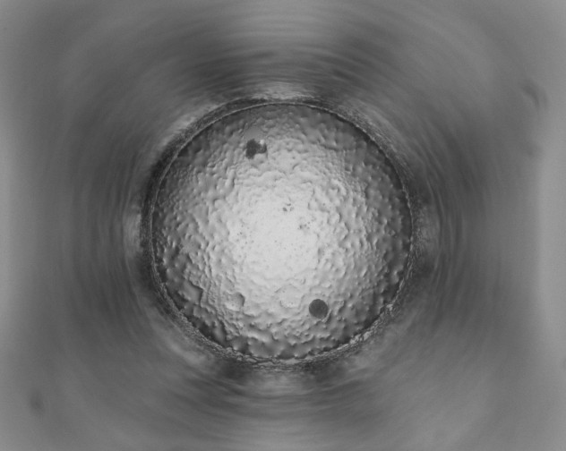 X0000110860351200906181146