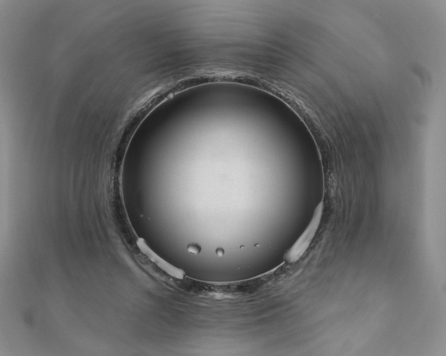 X0000110860352200906181146