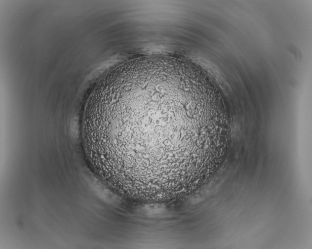 X0000110860353200906181146