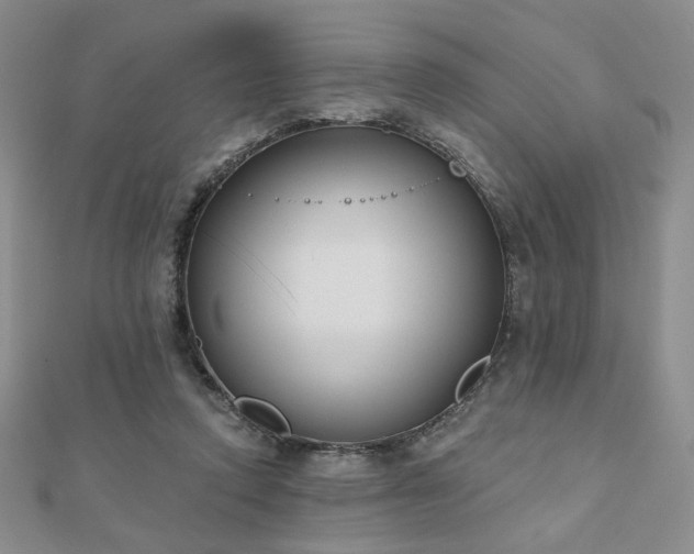 X0000110860354200906181146