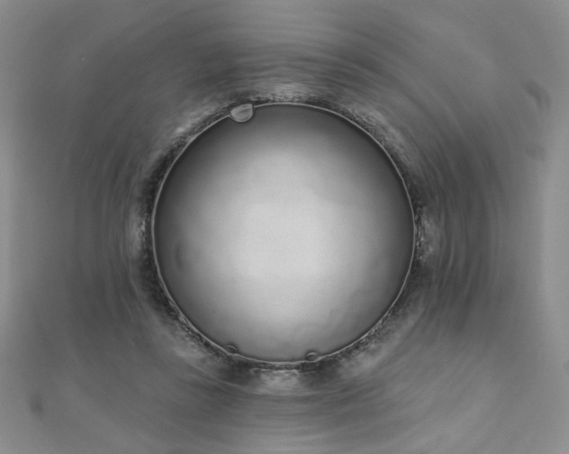 X0000110860355200906181146