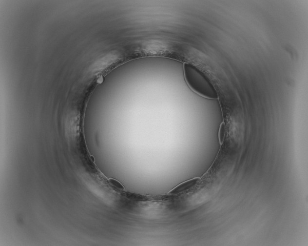 X0000110860356200906181146