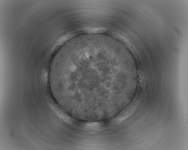 X0000110860357200906181146
