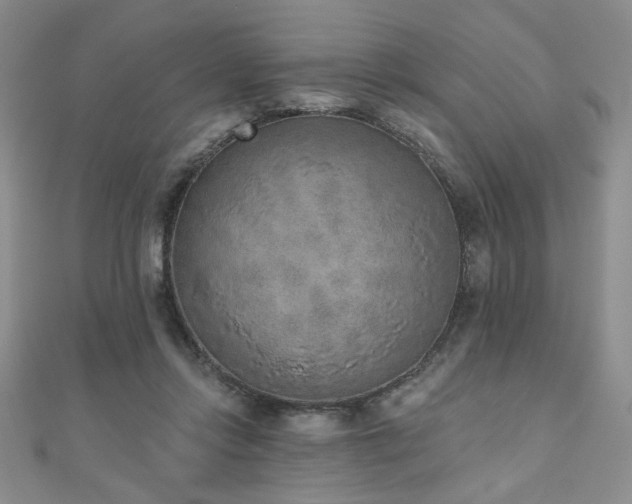 X0000110860358200906181146