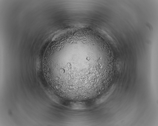 X0000110860359200906181146