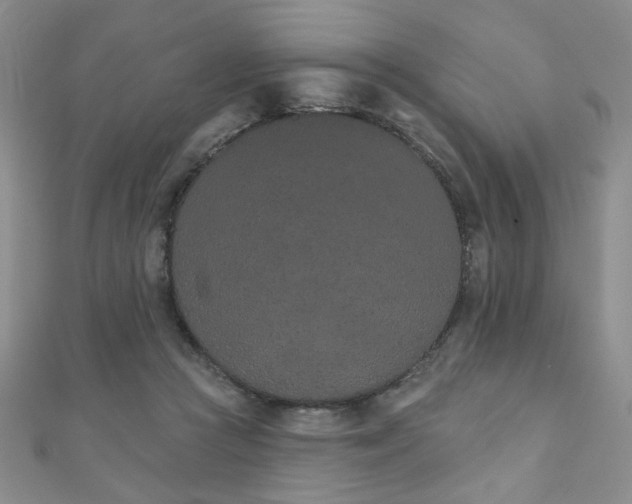 X0000110860361200906181146