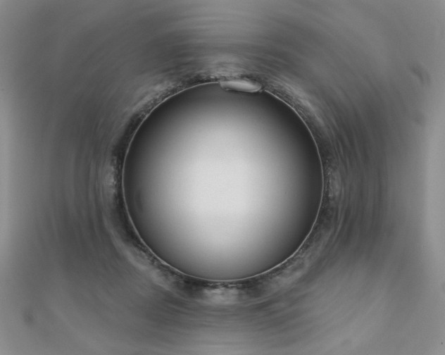X0000110860362200906181146