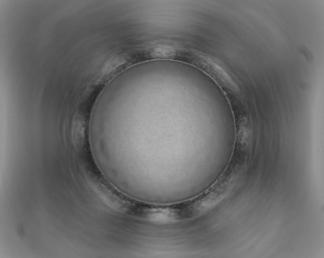 X0000110860363200906181146