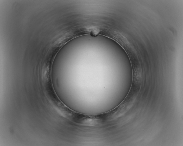 X0000110860364200906181146