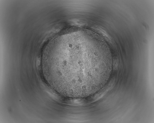 X0000110860365200906181146