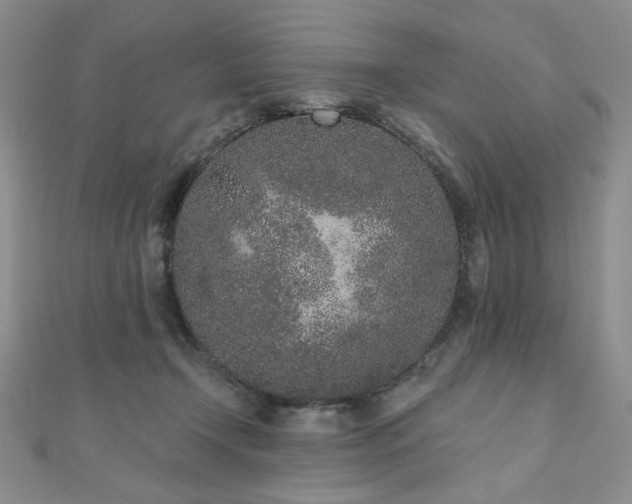 X0000110860366200906181146