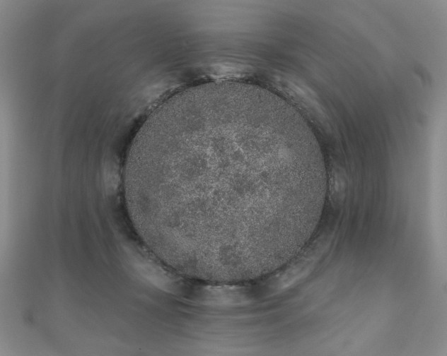 X0000110860367200906181146