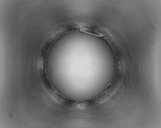 X0000110860368200906181146