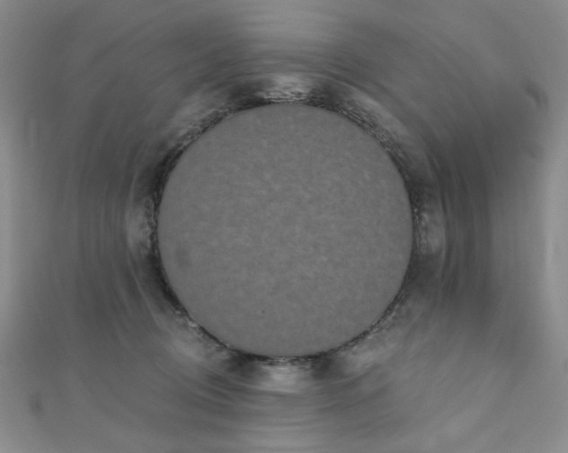 X0000110860370200906181146
