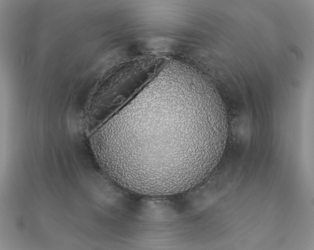X0000110860372200906181146